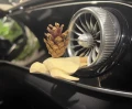 Żółw pion auto.webp