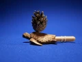 Żółw sapeli.webp