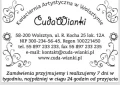 modicor14_4.jpg